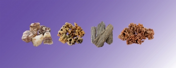 List product